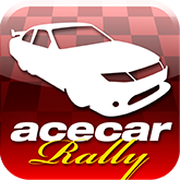 ACECAR Rally Team Building Yarra Valley