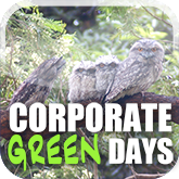 Corporate Green Days Team Building Surfcoast